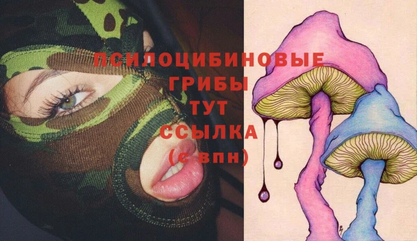 гидра Куйбышев
