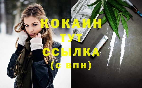 spice Беломорск