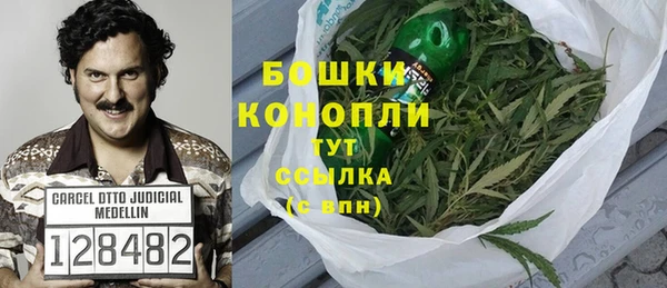 кокс Белокуриха