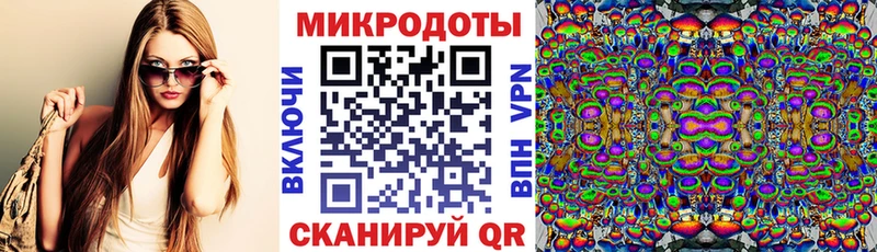 Псилоцибиновые грибы мицелий  купить   Болотное 
